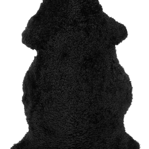 Saueskinn Curly v:2504747 Saueskinn Curly v:2504747