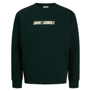Collegegenser Jjmunk Sweat Crew Neck v:1728247