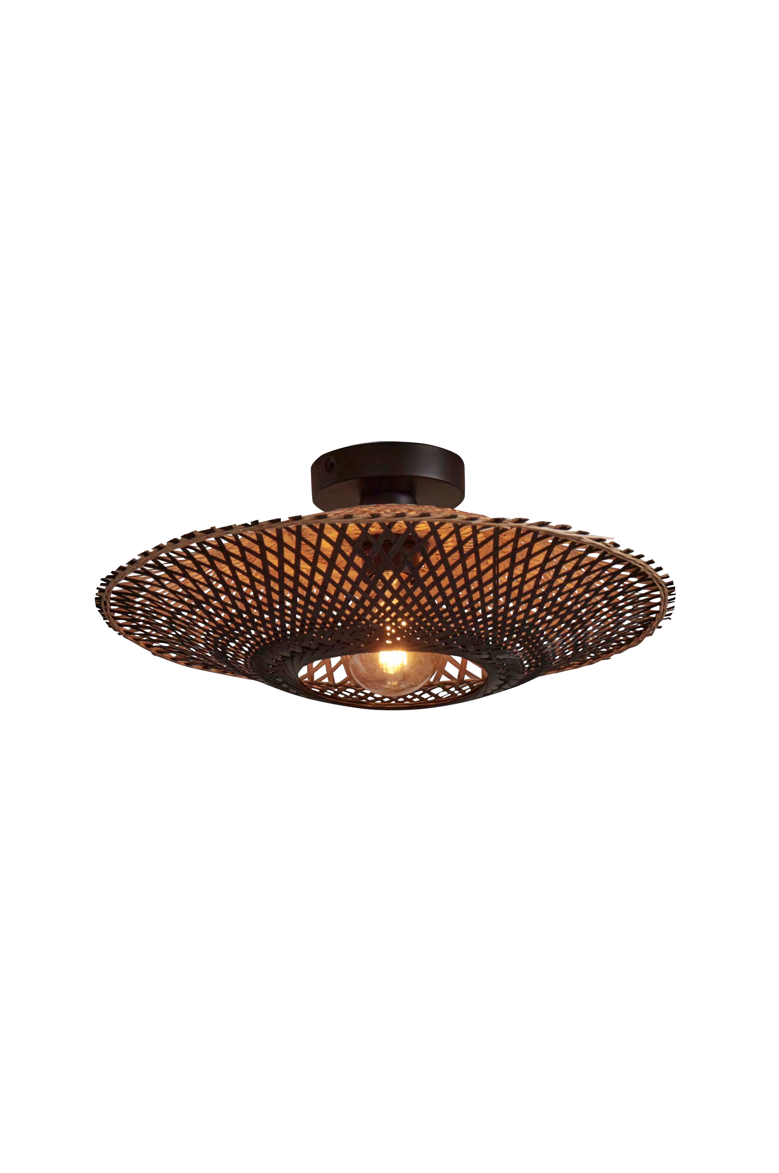 Taklampe omvendt Kalimantan v:2283652