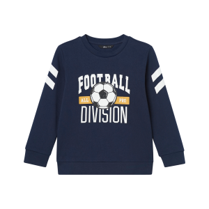 Collegegenser Aidan v:1781442 Collegegenser Aidan v:1781442