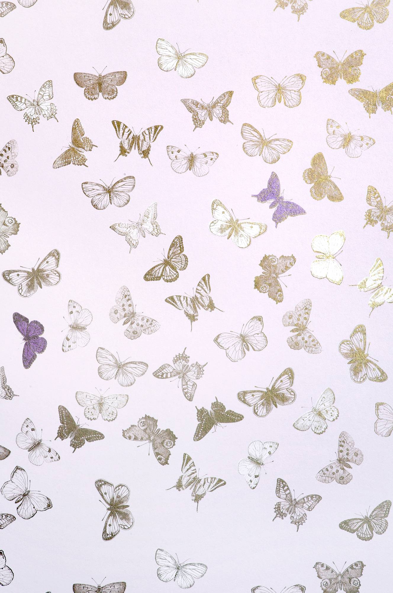 Tapet Butterfly v:9491342