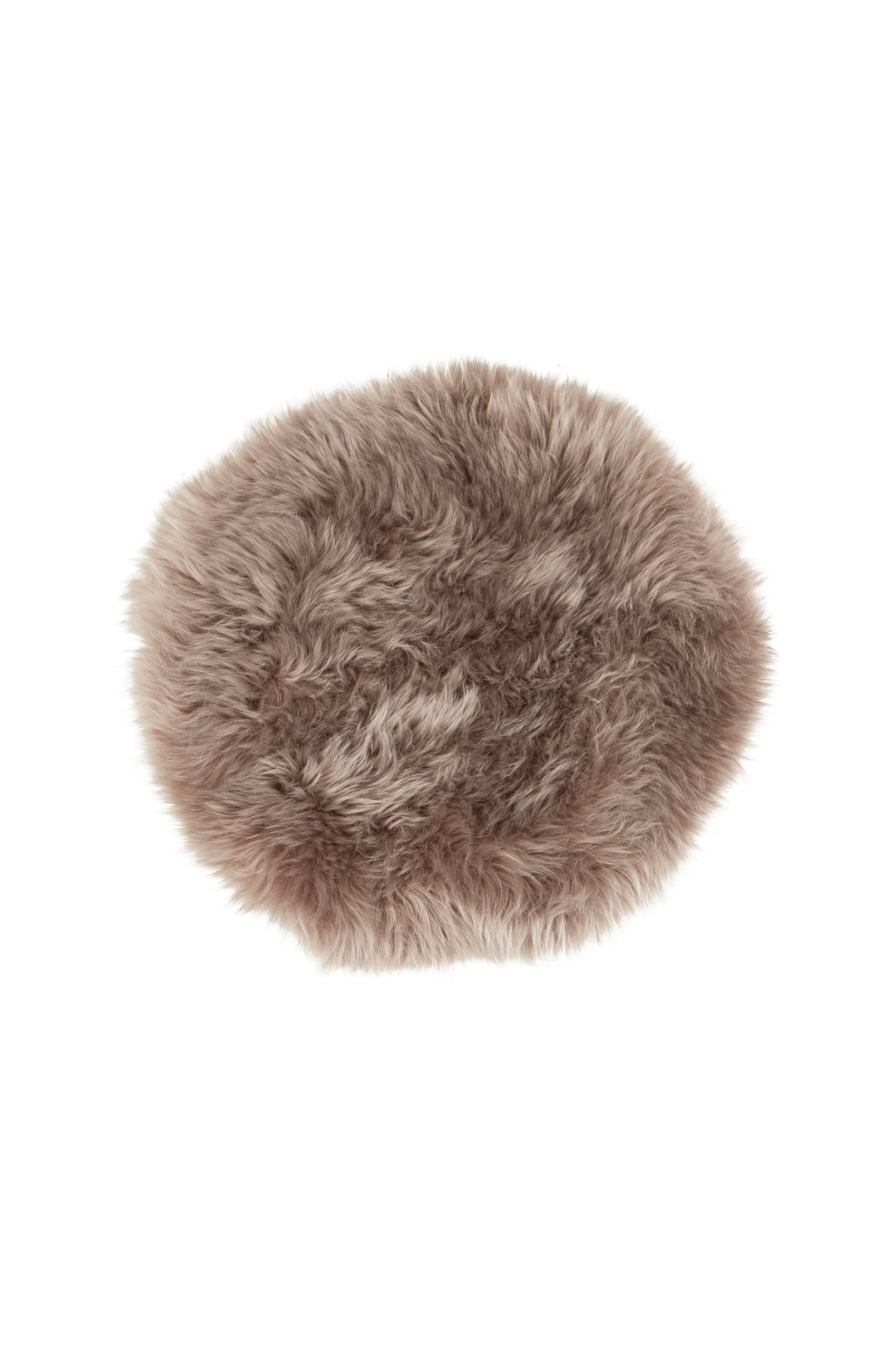 Molly stolpute v:722042
