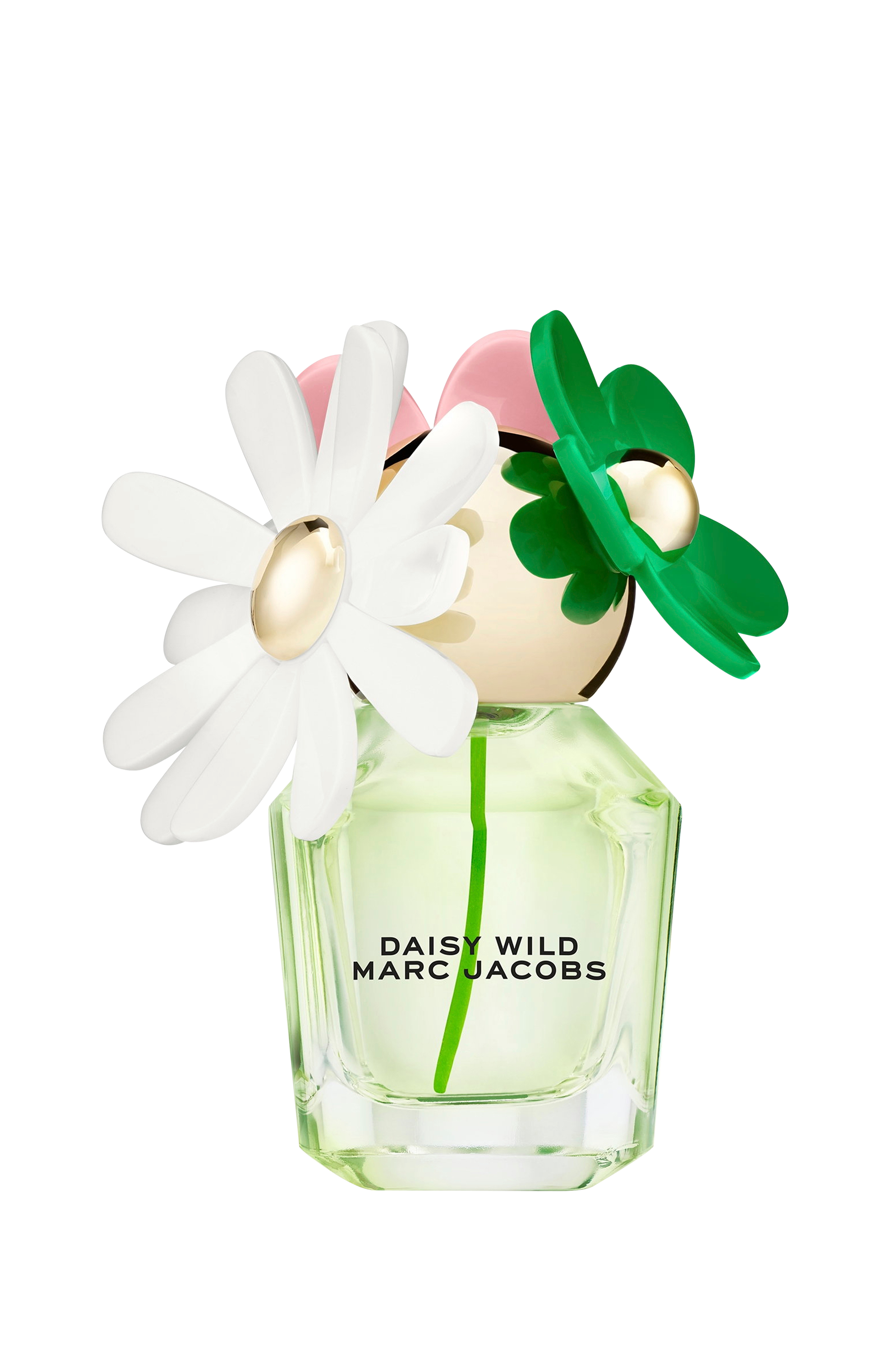 Daisy Wild EdP v:4016556