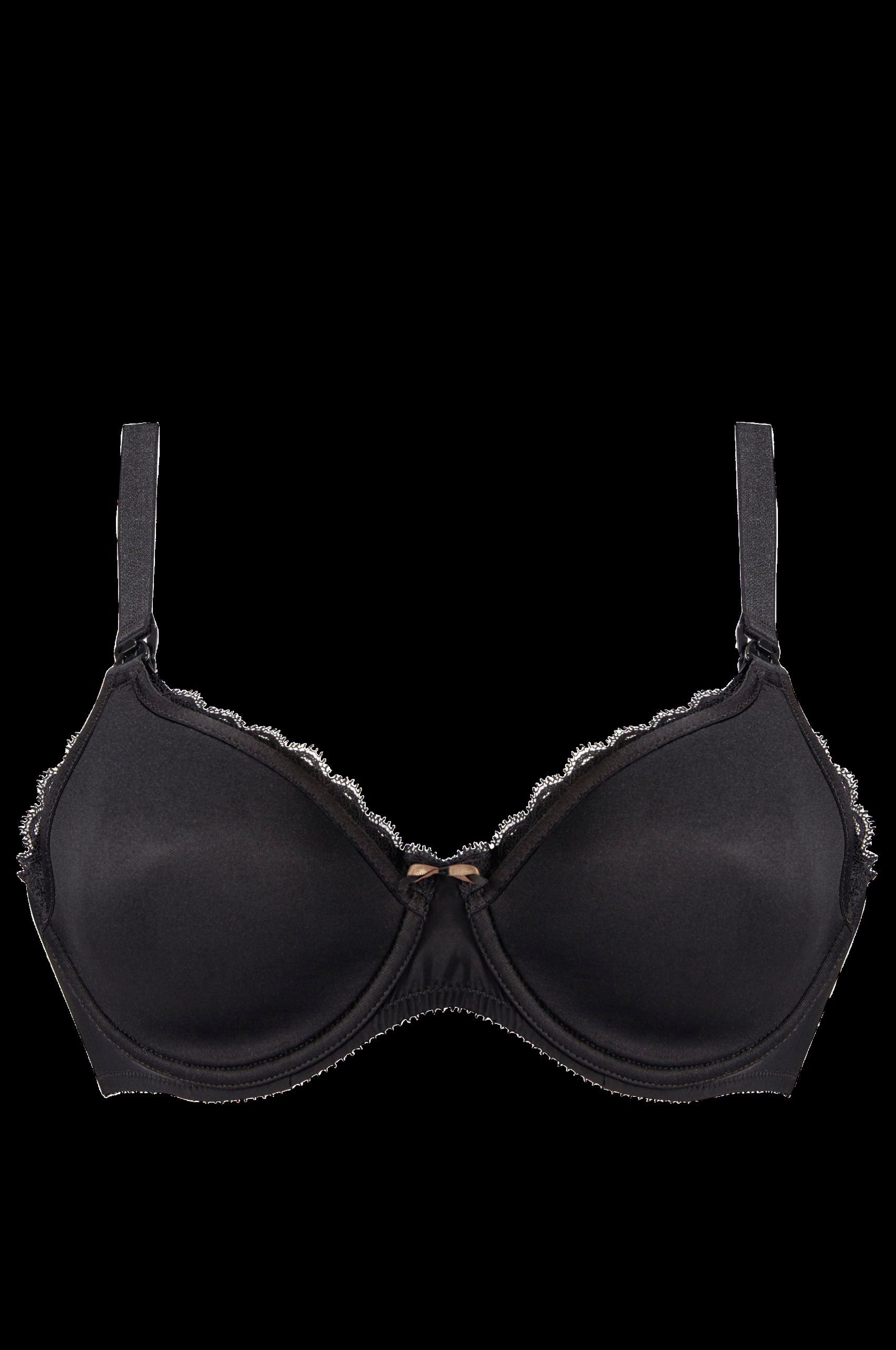 Amme v:9358240