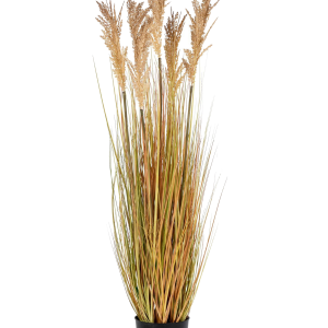 Kunstig plante Durra. Plante av PE v:3285988 Kunstig plante Durra. Plante av PE v:3285988