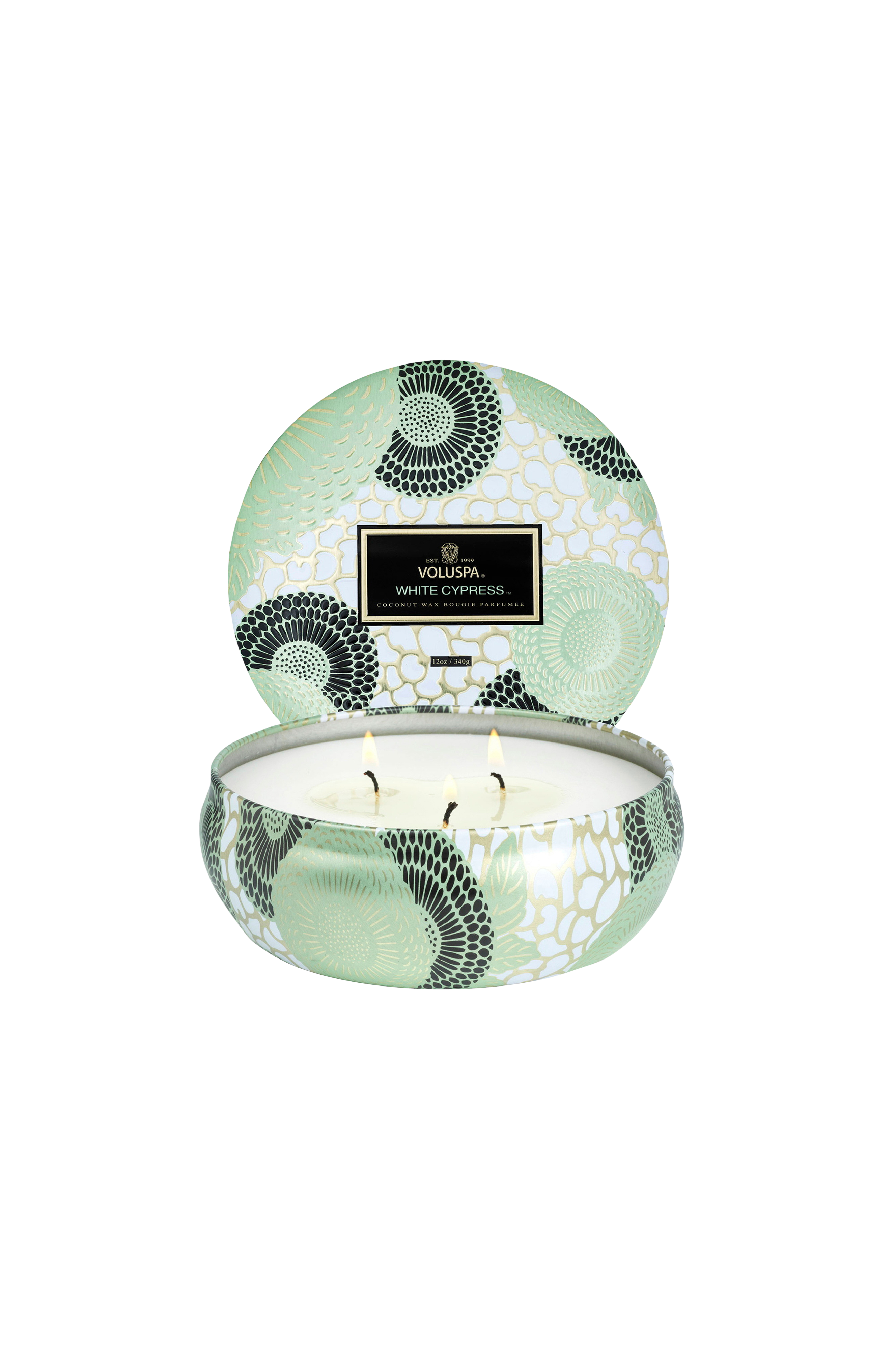 White Cypress v:1643798
