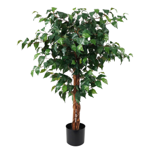 Kunstig plante Fig Ficus v:3847379