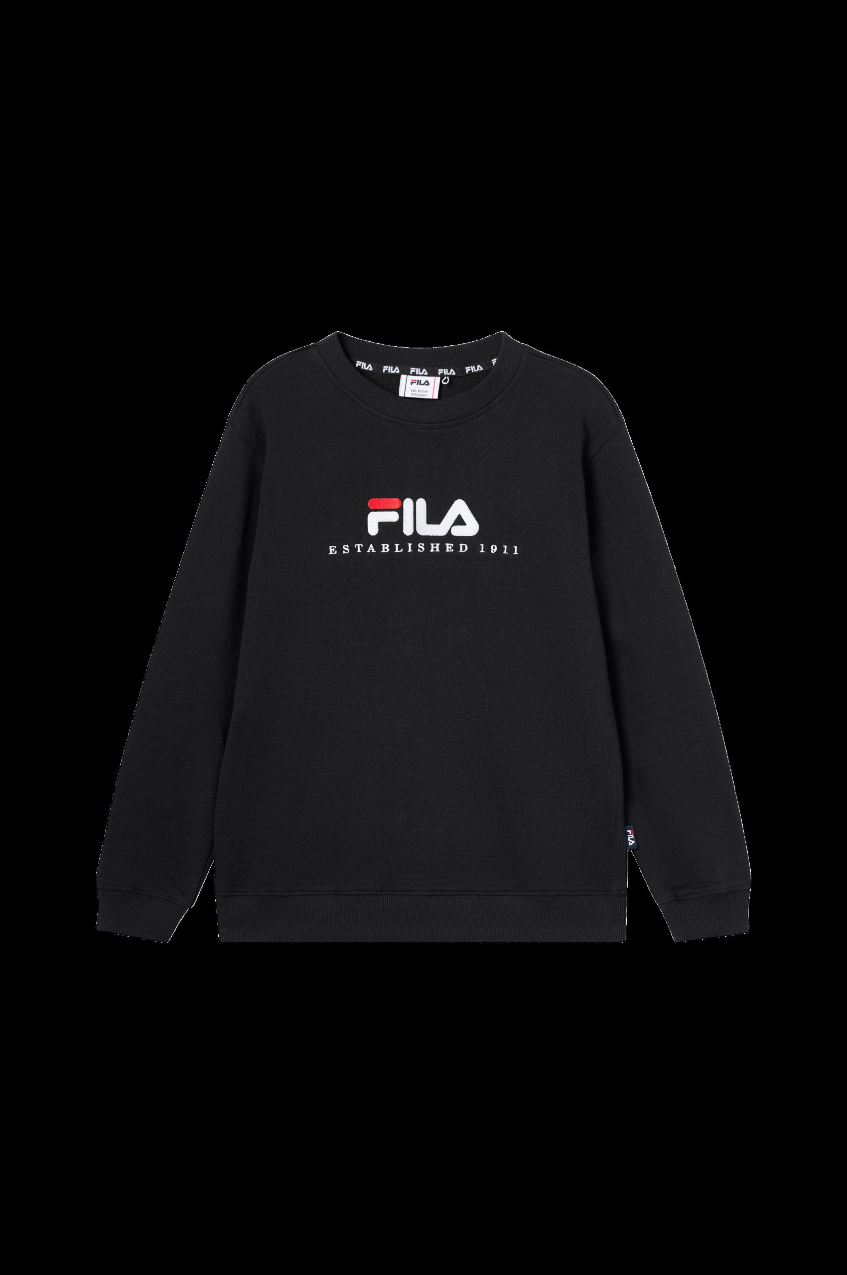 Collegegenser Carisio Regular Logo Crewneck v:5038961