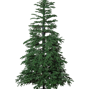 Juletre Edane 210 cm v:3105417