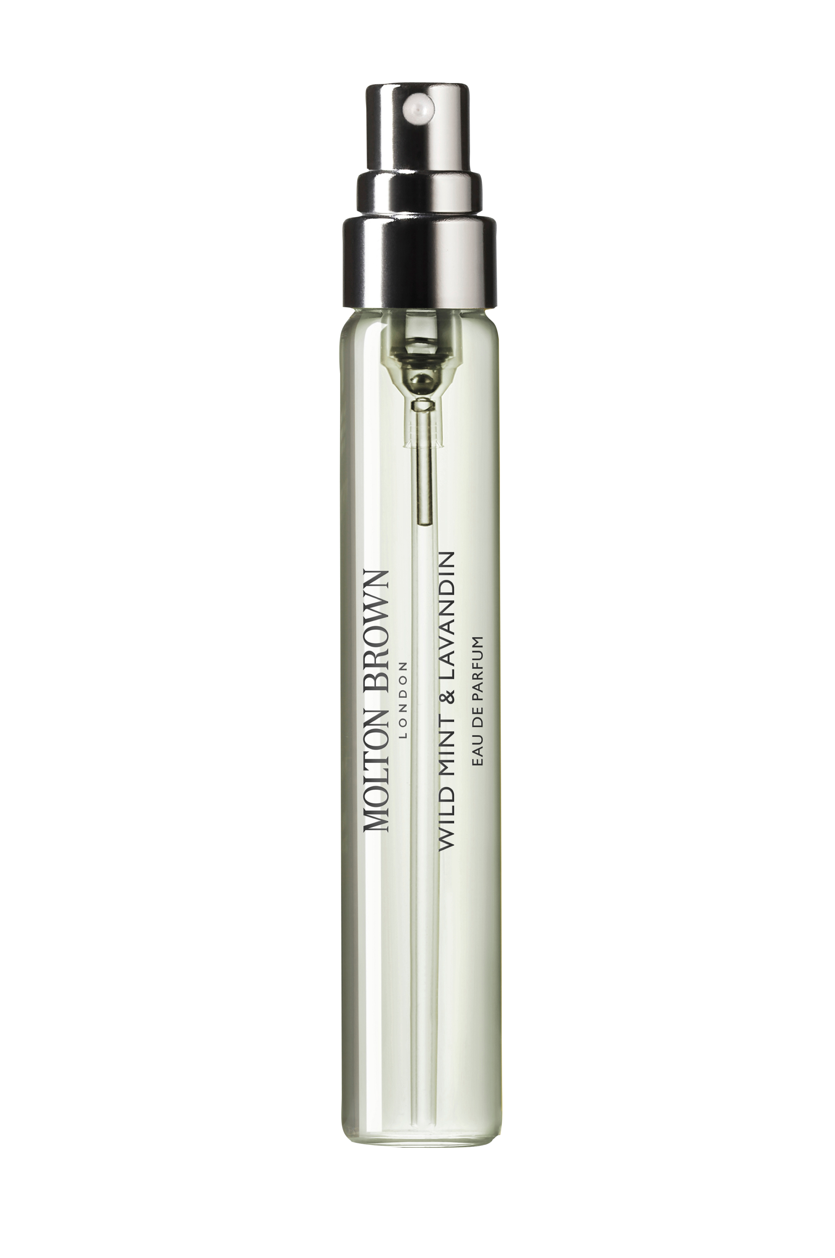 Wild Mint & Lavandin v:4569165